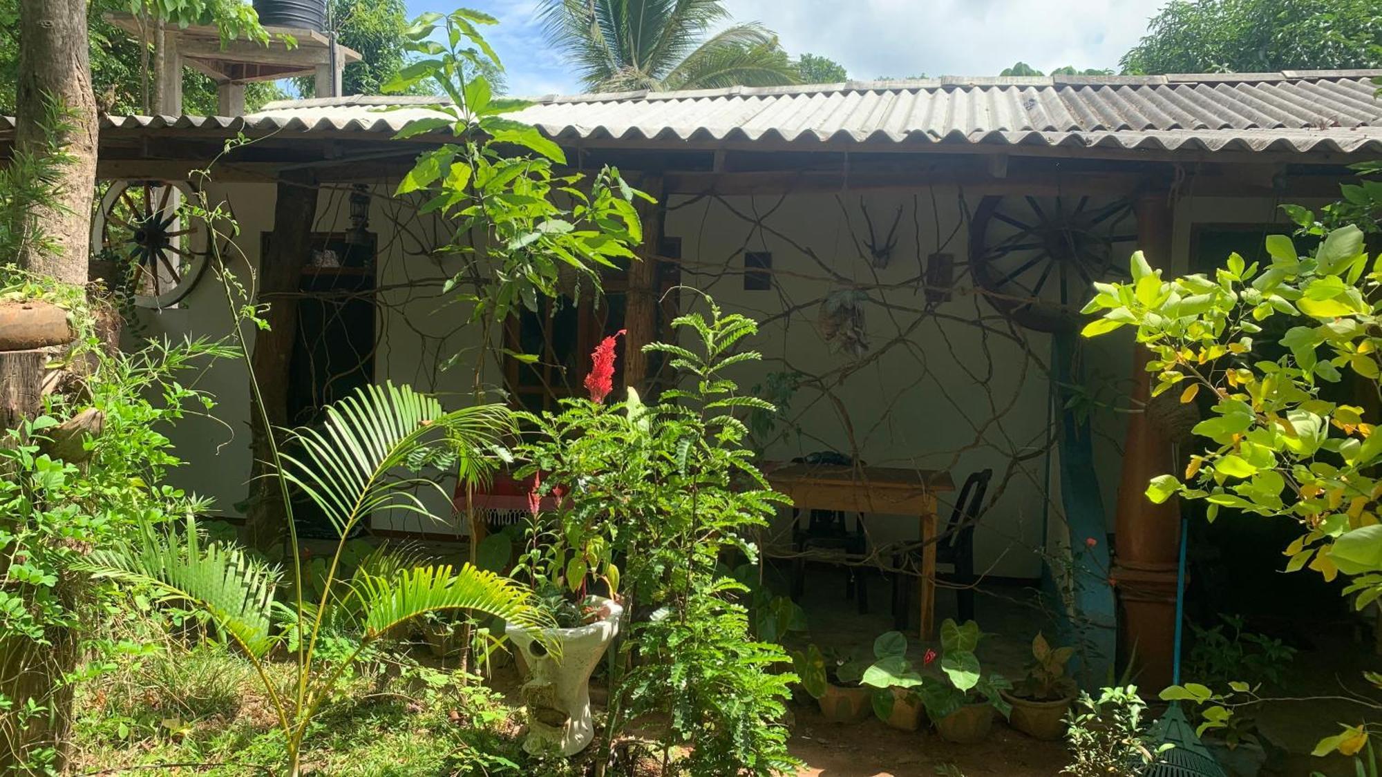 סיגירייה Sigiri Birds Hostel מראה חיצוני תמונה
