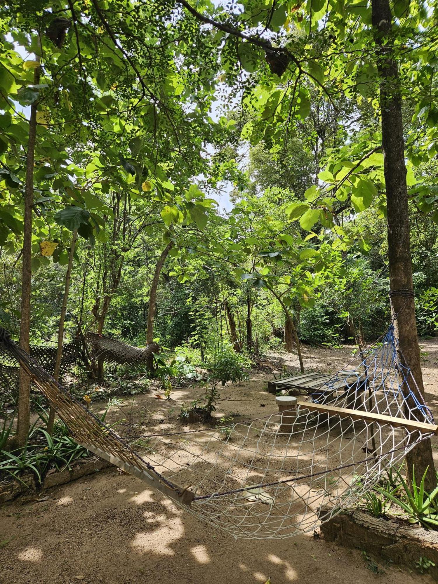 סיגירייה Sigiri Birds Hostel מראה חיצוני תמונה